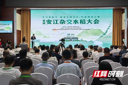 今日头条怀化安江新闻,聚焦发展新篇章，共绘美好未来图景